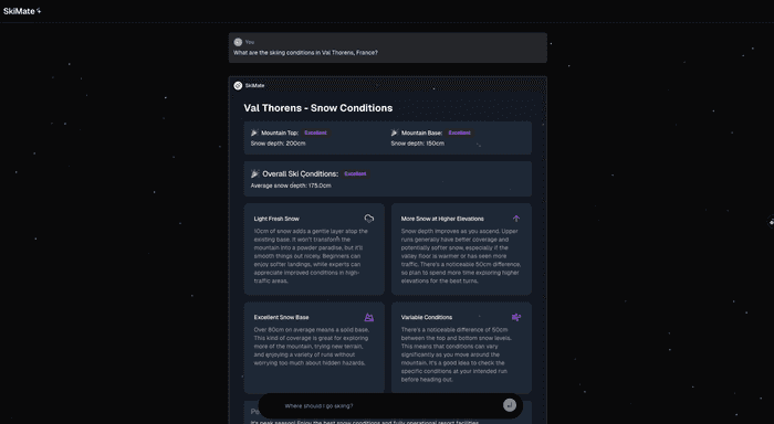 SkiMate.AI